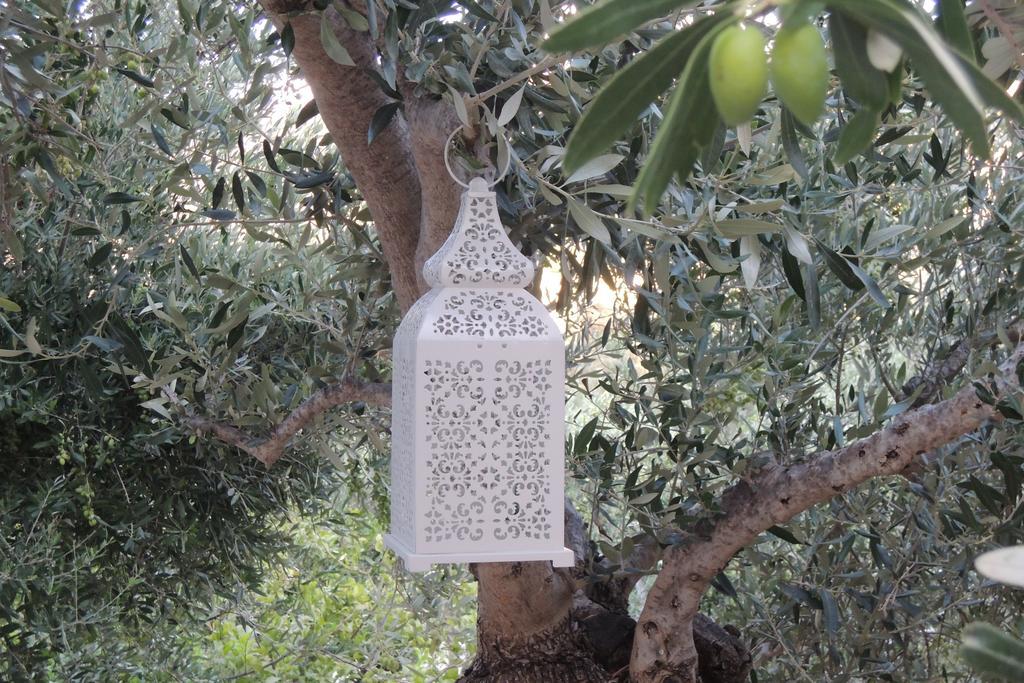 Kalliroe Apartments -Creta Agia Galini Zewnętrze zdjęcie
